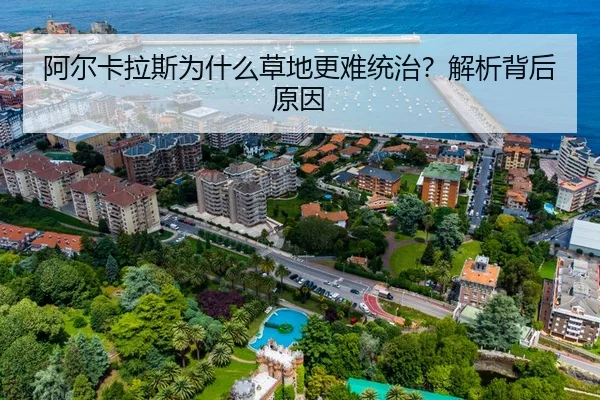 阿尔卡拉斯为什么草地更难统治？解析背后原因
